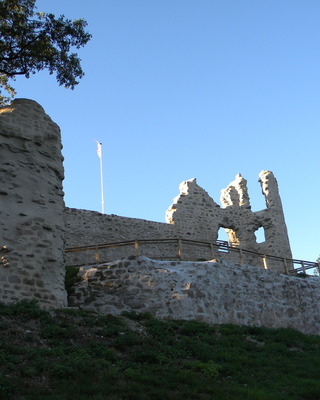 Les Ruines du Château de Thynières